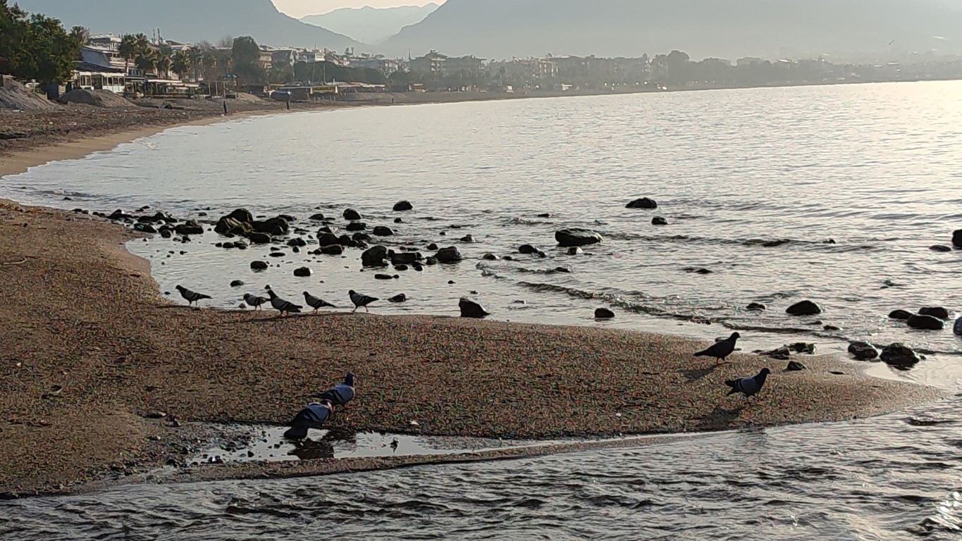 Alanya'da deniz suyu 7-8 metre çekildi