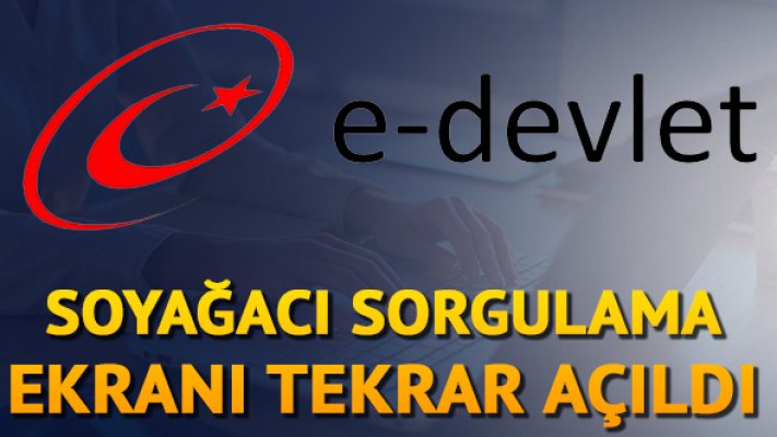 E-Devlet Alt-Üst Soy bilgisi sorgulama sayfası açıldı