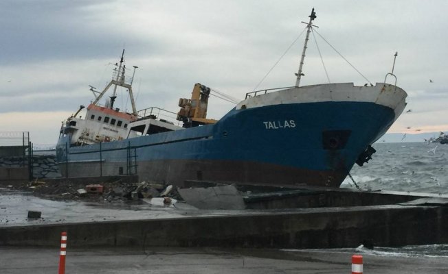M/V Tallas Demir Taradı, Zeyport 'a yaslandı
