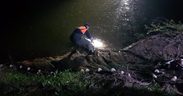 Kaçak avlanan 5 ton canlı inci kefali tekrar suya bırakıldı