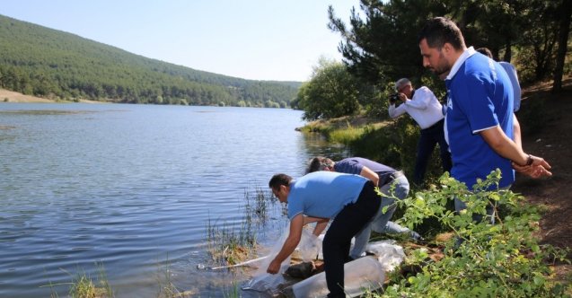 Uşak’ta 15 bin sazan yavrusu göletlere bırakıldı