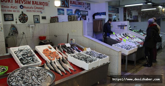 Karadeniz’de kırlangıç ve 30 santimetre boyundaki istavritlere artık rastlanmıyor
