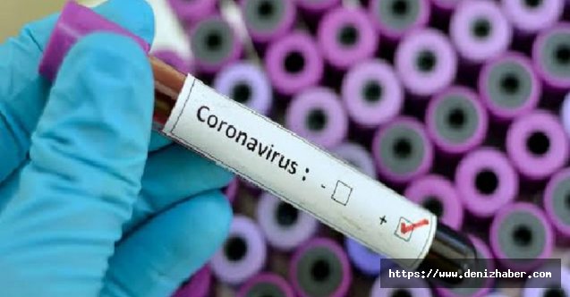 Dünya Sağlık Örgütü'nden çok önemli corona virüs açıklaması