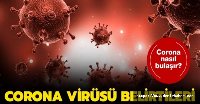 Çin'de koronavirüs nedeniyle hayatını kaybedenlerin sayısı 3 bini aştı