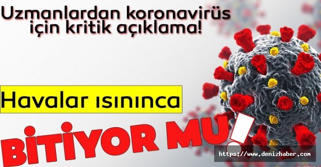 Dünyanın merak ettiği soru! Havalar ısınınca virüs ölecek mi?