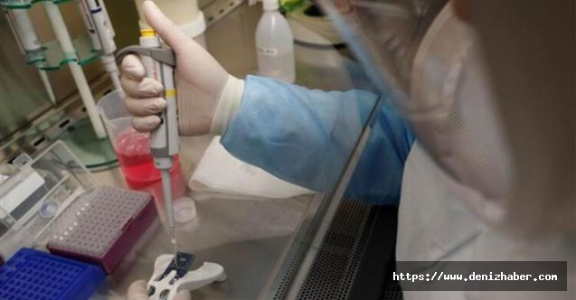Koronavirüs test kriterleri değişiyor: Sağlıklı kişilere de yapılacak