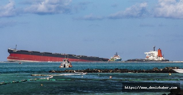 Mauritius'taki petrol faciası ekosistemi tehdit ediyor: 17 yunus ölü bulundu!