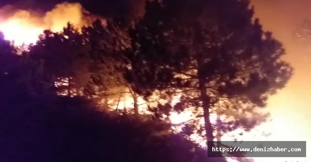 İzmir'deki orman yangını sonrası ağır bilanço: Onlarca hektar ormanlık alan küle döndü!