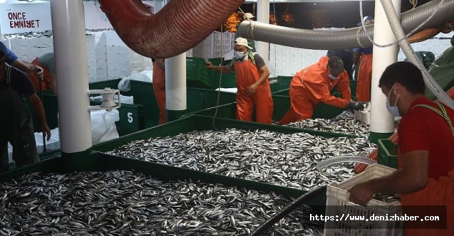Yasak bitti... Balık mezatında renkli görüntüler oluştu!
