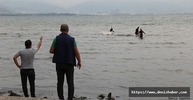 Kocaeli'de kaçak midye avcıları polisi görünce denize kaçtı!
