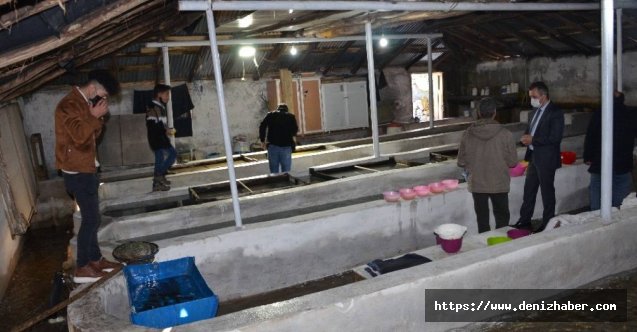 Şırnak'taki tek balık tesisi 5 aileye ekmek kapısı oldu!