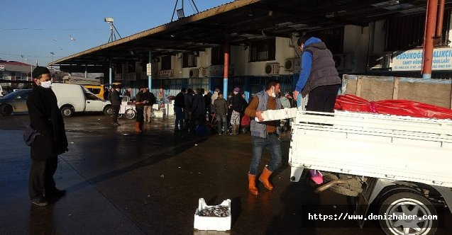 Trabzon Toptancı Balık Hali'ne gelen balık miktarındaki düşüş devam ediyor!