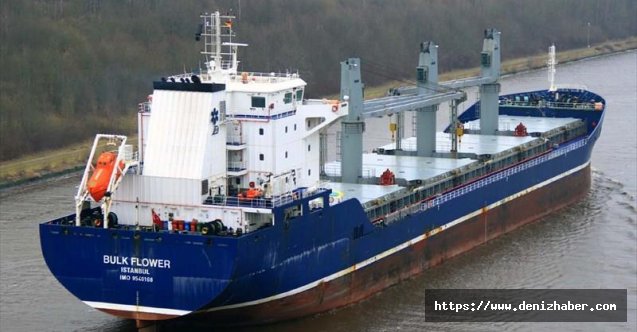 Türk Armatör, M/V Bulk Flower gemisini icradan satın aldı