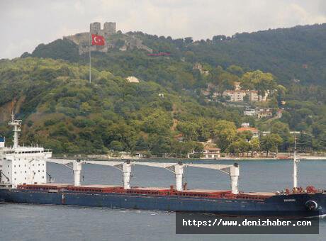 Ukrayna'dan tahıl koridoruyla bir ayda 122 gemi