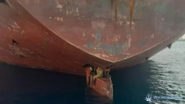 MSC Boxship'in Yekesinde 2.000 Deniz Mili Gittiler