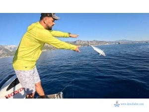 Tuttuğu balığın peşinden geleni görünce dayanamadı