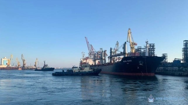 Ukrayna, Suriye'ye Tahıl Göndermeyi Planlıyor