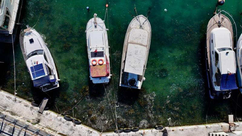 Müsilaj Beykoz sahiline kadar geldi