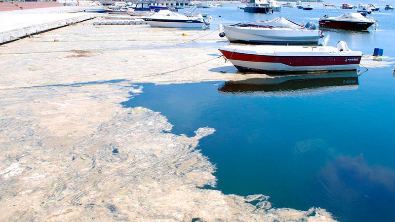 Saros Körfezi ve Çanakkale Boğazı'nda tehlike çanları!