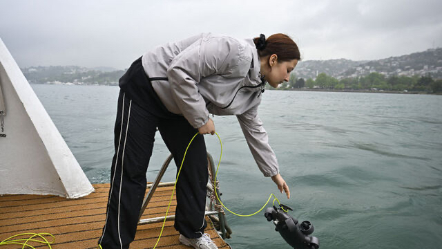 İstanbul Boğazı'ndaki deniz çayırlarının üzerinde müsilaj görüldü