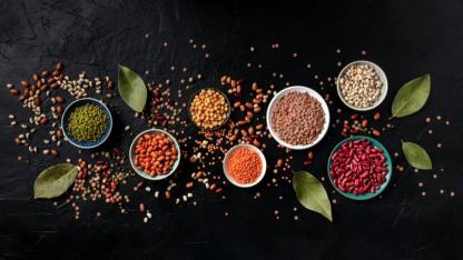 Hububat, bakliyat, yağlı tohumlar ihracatçıları Güney Kore yolcusu