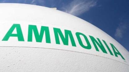 IMO’da amonyaklı yakıt atığı tartışması büyüyor