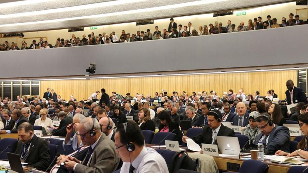 IMO Advances Marine Environment and Security Initiatives