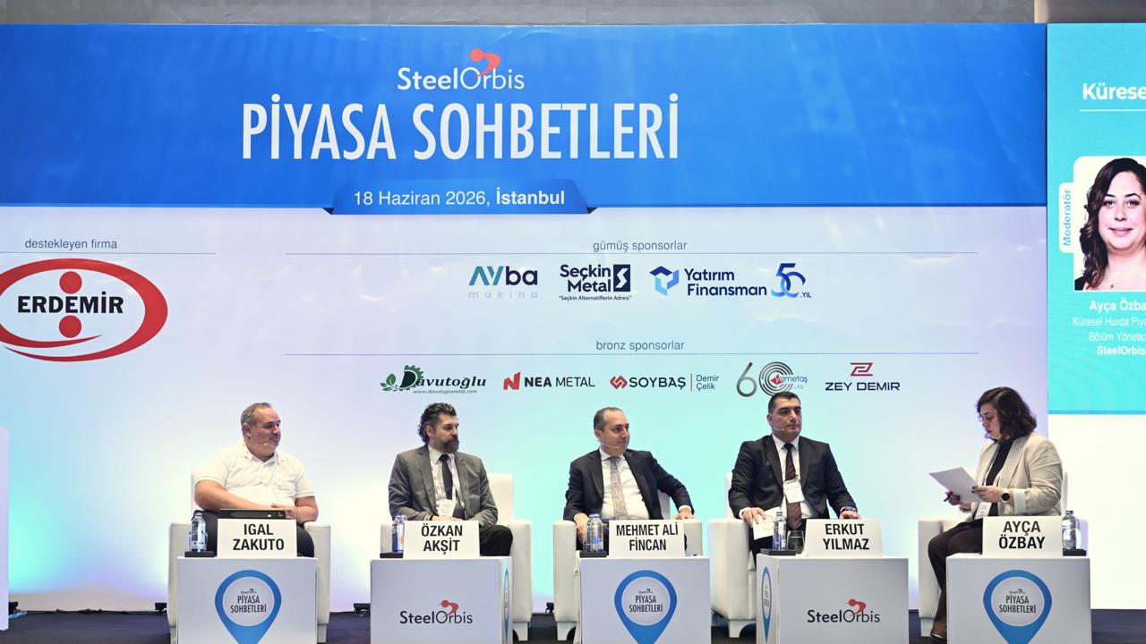 Turkey's Flat Steel Sector Faces Cost and Protection