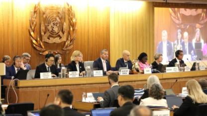 IMO'dan Acil Çağrı: 44 Gemi İnsanı Serbest Bırakılsın!